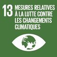 ODD mesures lutte contre changements climatiques - Stordata Duonyx