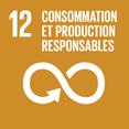 ODD Consommation et production responsables - Stordata Duonyx